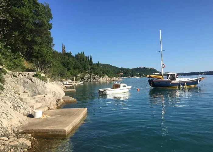 Apartman Cvenkica